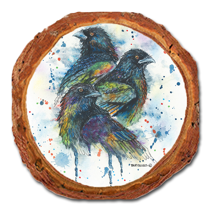 Coaster: Live Edge - Bartholet's Raven Trio