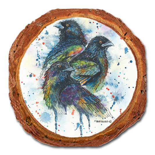 Coaster: Live Edge - Bartholet's Raven Trio