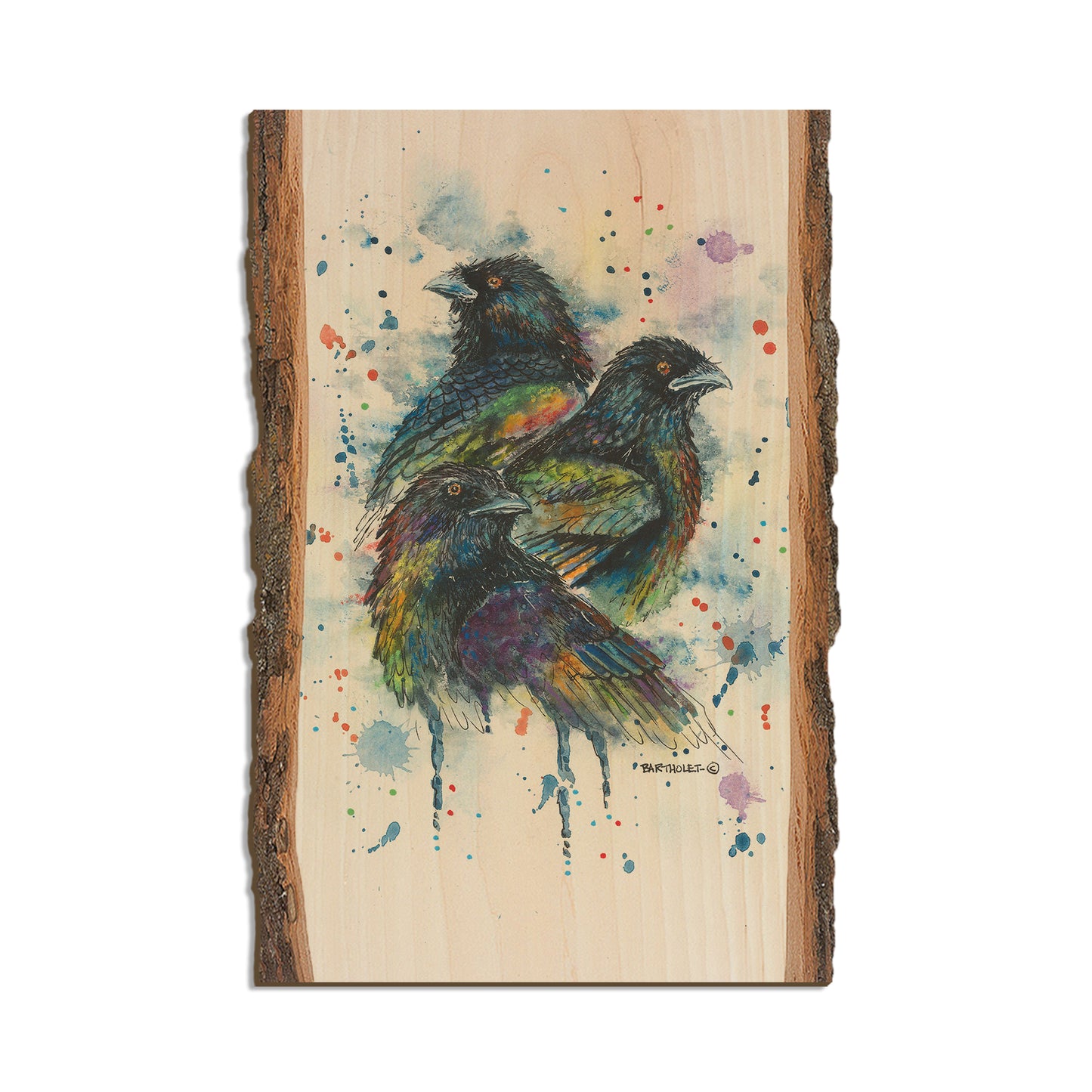 Bartholet's Raven Trio  - Live Edge Live Edge Postcard (5pk // $2.80ea)