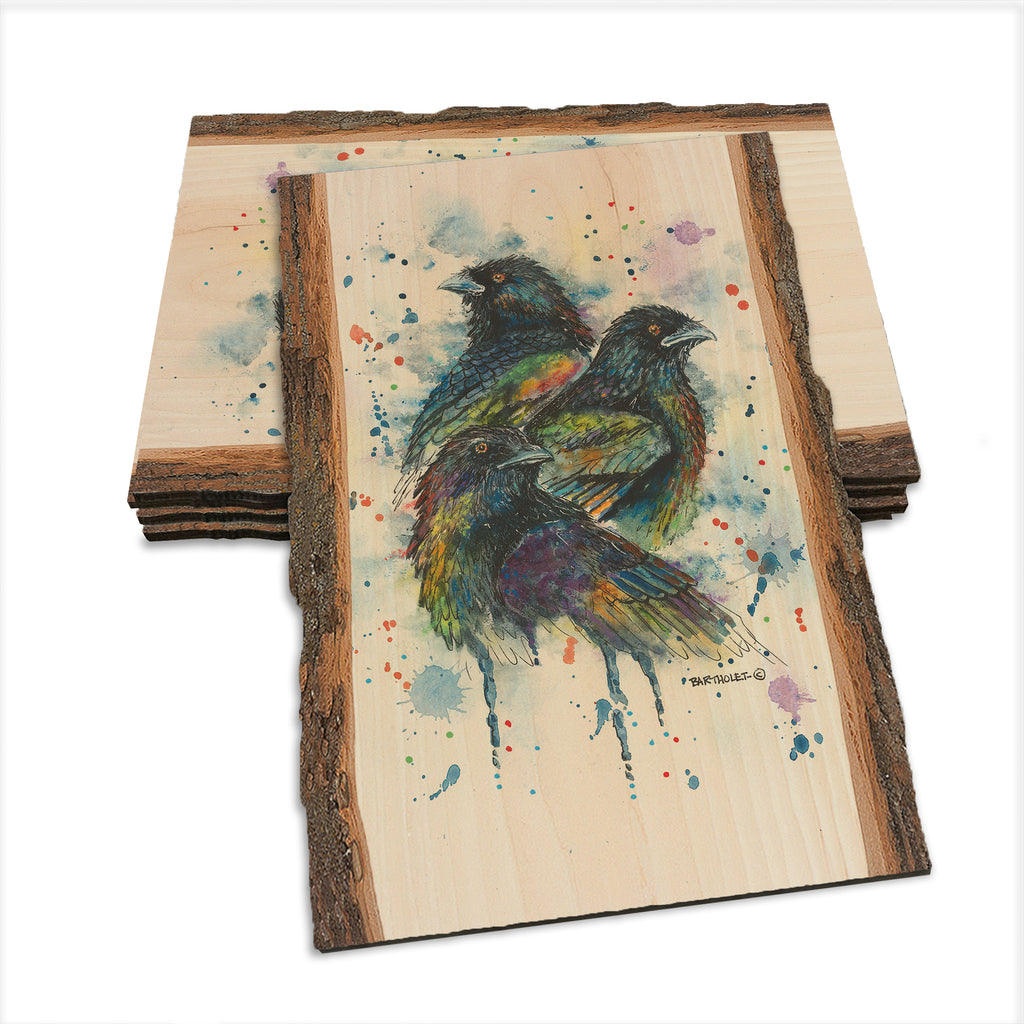 Bartholet's Raven Trio  - Live Edge Live Edge Postcard (5pk // $2.80ea)