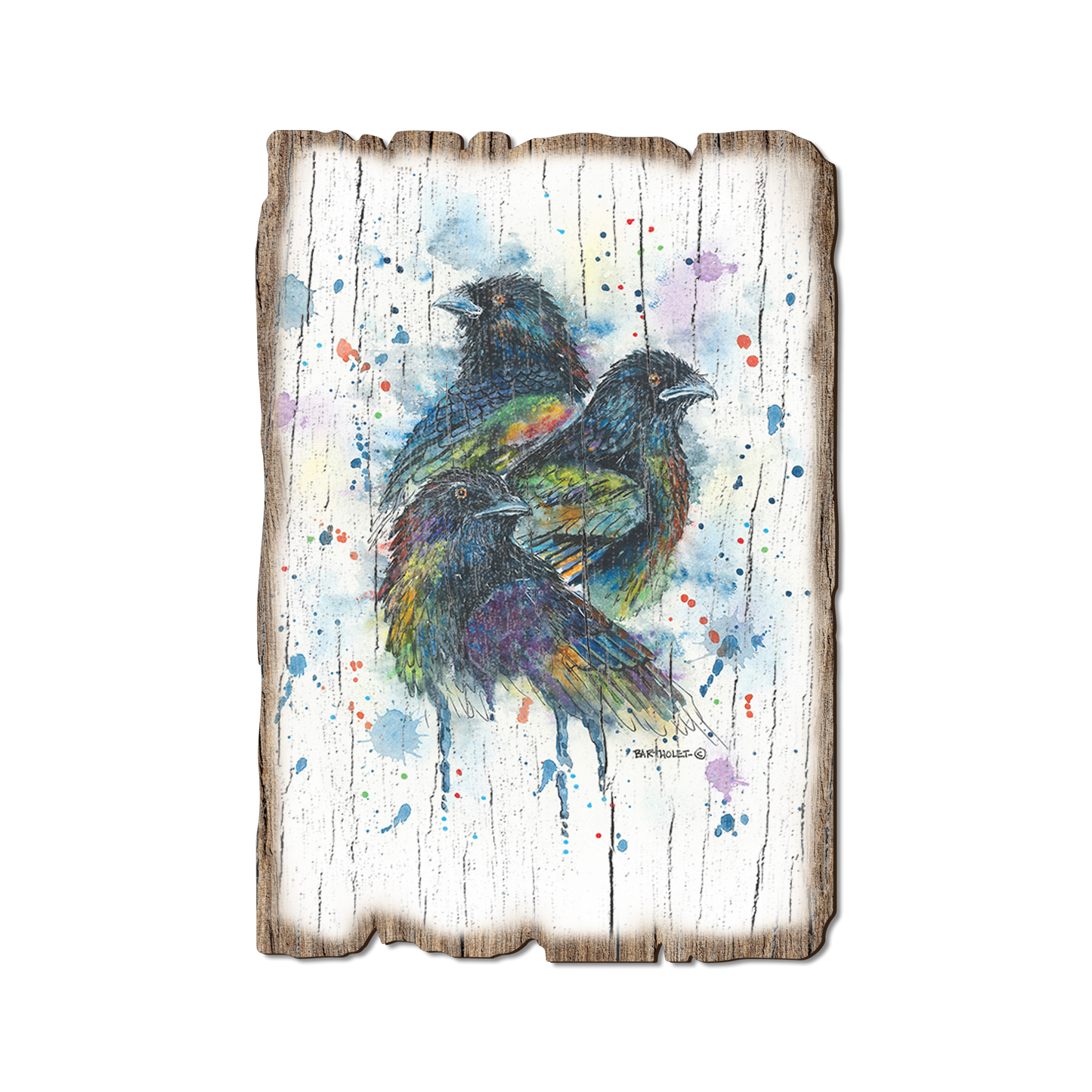 Postcard: Weathered Edge - Bartholet's Raven Trio (Pack of 5)