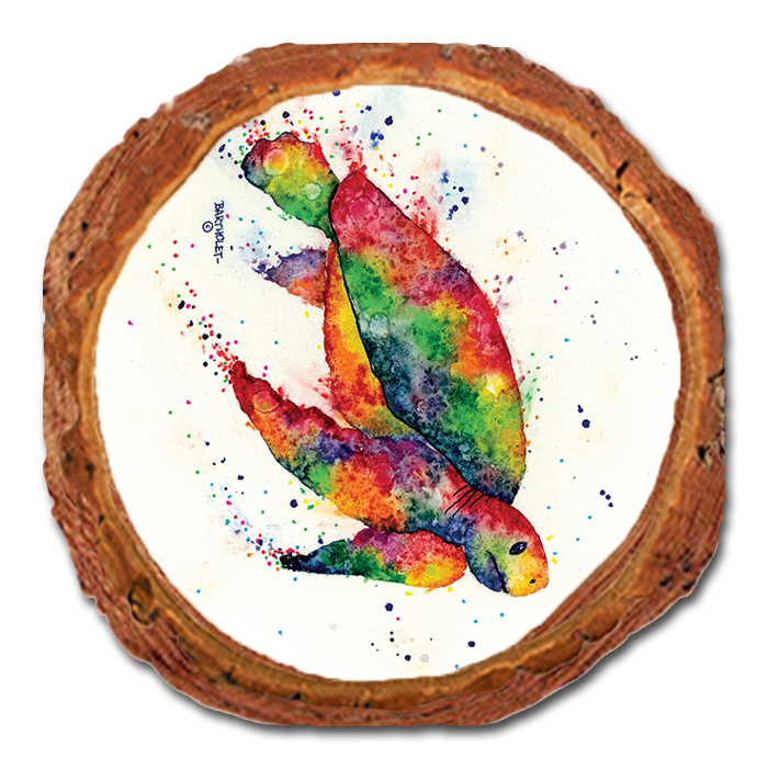 Coaster: Live Edge - Bartholet's Rainbow Turtle (Pack of 5)