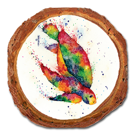 Coaster: Live Edge - Bartholet's Rainbow Turtle (Pack of 5)