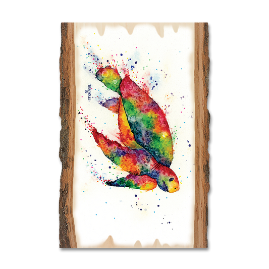 Magnet: Live Edge - Bartholet's Rainbow Turtle