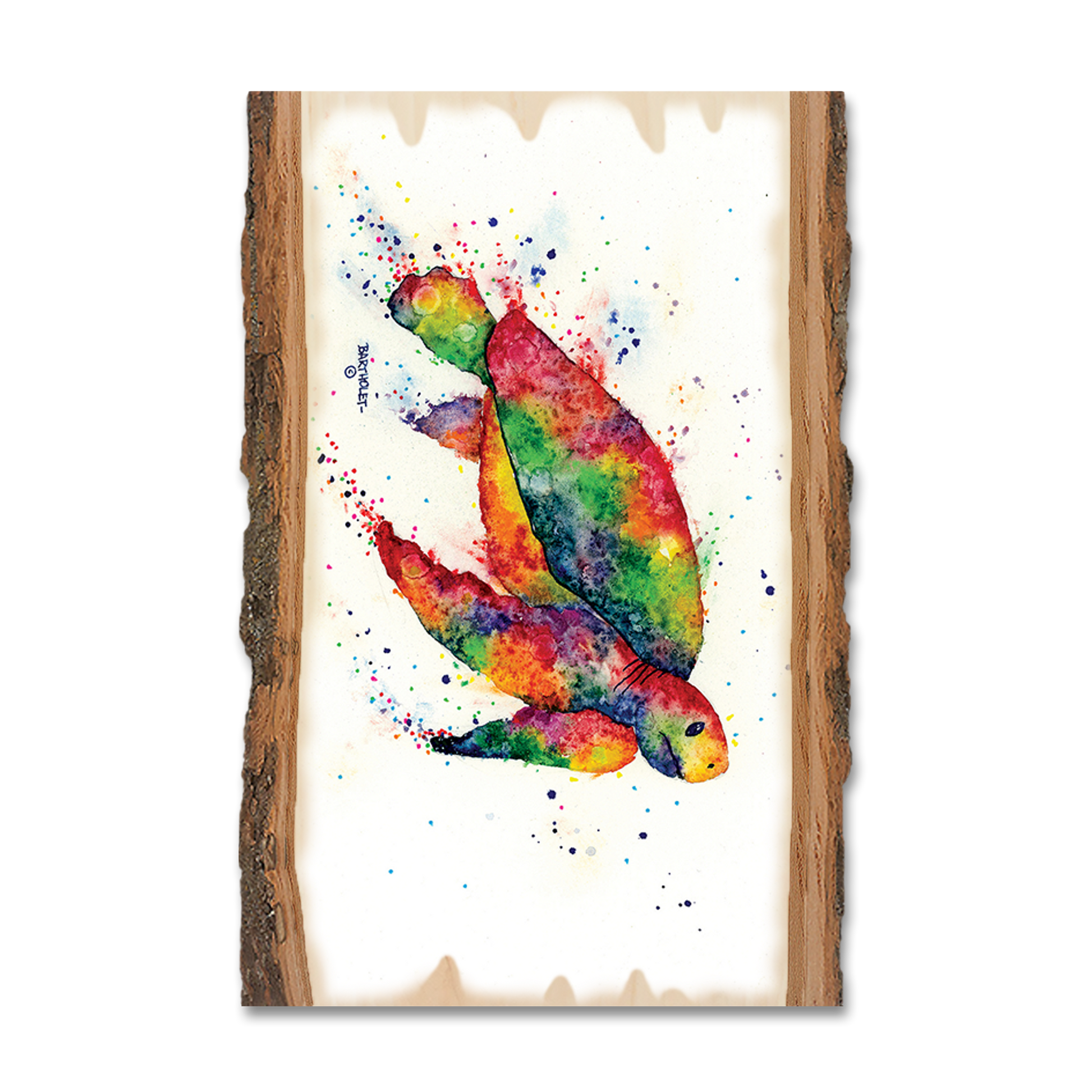 Ornament: Live Edge - Bartholet's Rainbow Turtle