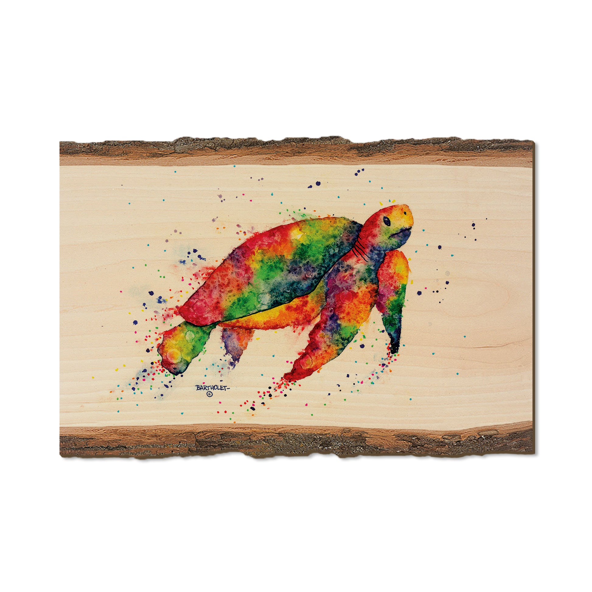 Bartholet's Rainbow Turtle  - Live Edge Live Edge Postcard (5pk // $2.80ea)