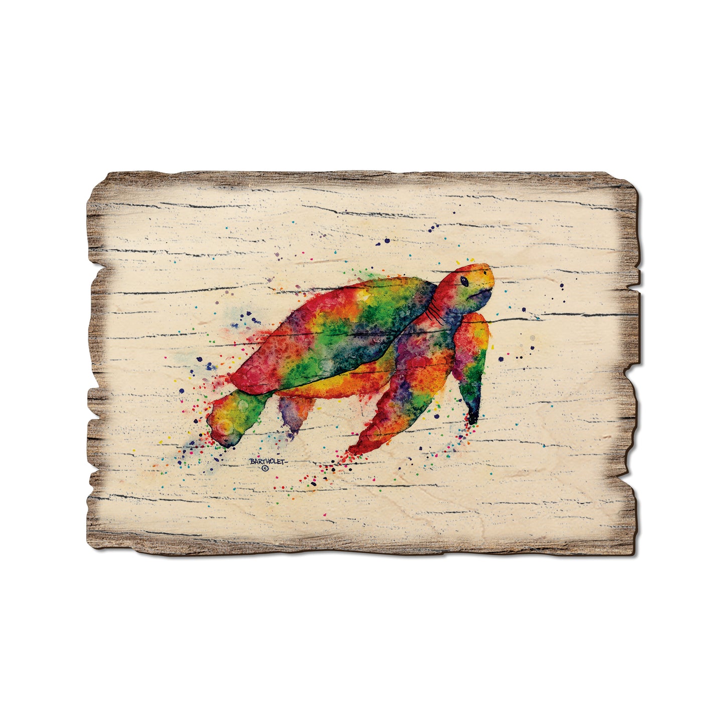 Bartholet's Rainbow Turtle - Rustic Edge Postcards & Magnets Rustic Edge Postcard (5pk // $2.80ea)