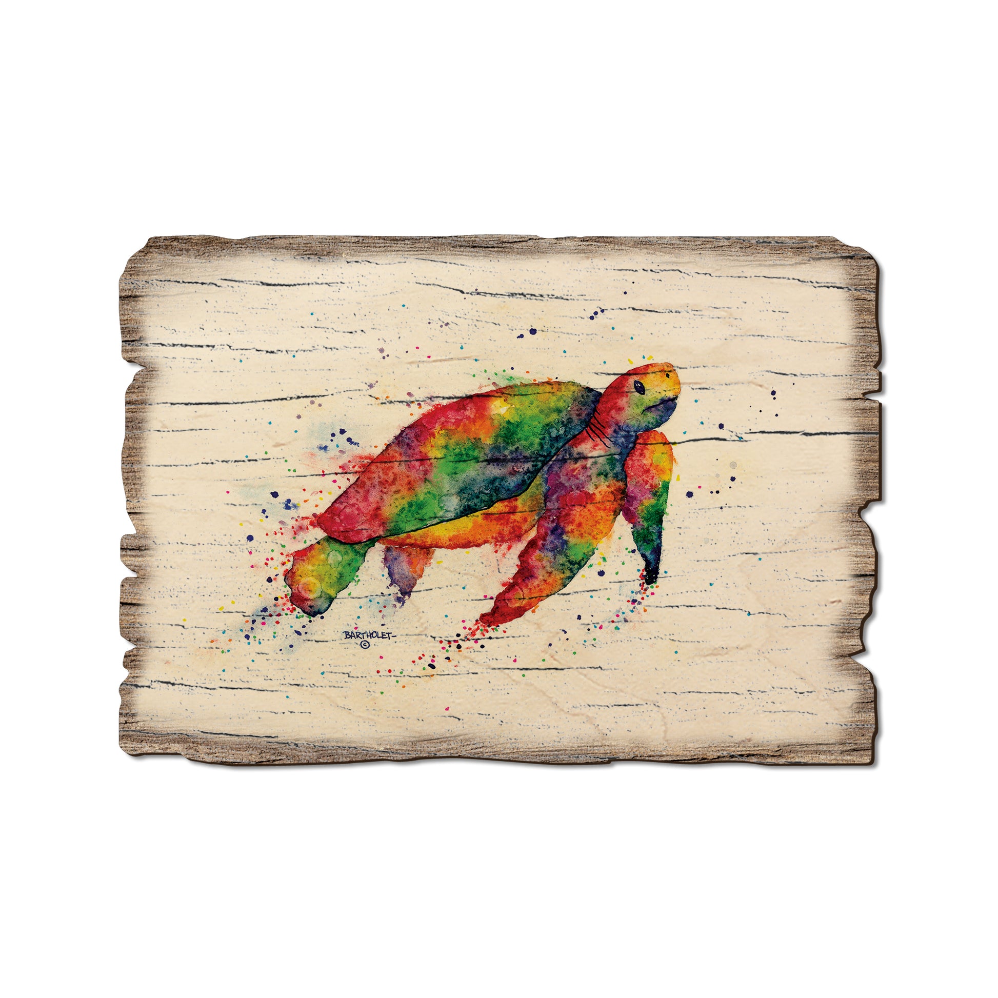 Bartholet's Rainbow Turtle - Rustic Edge Postcards & Magnets Rustic Edge Postcard (5pk // $2.80ea)