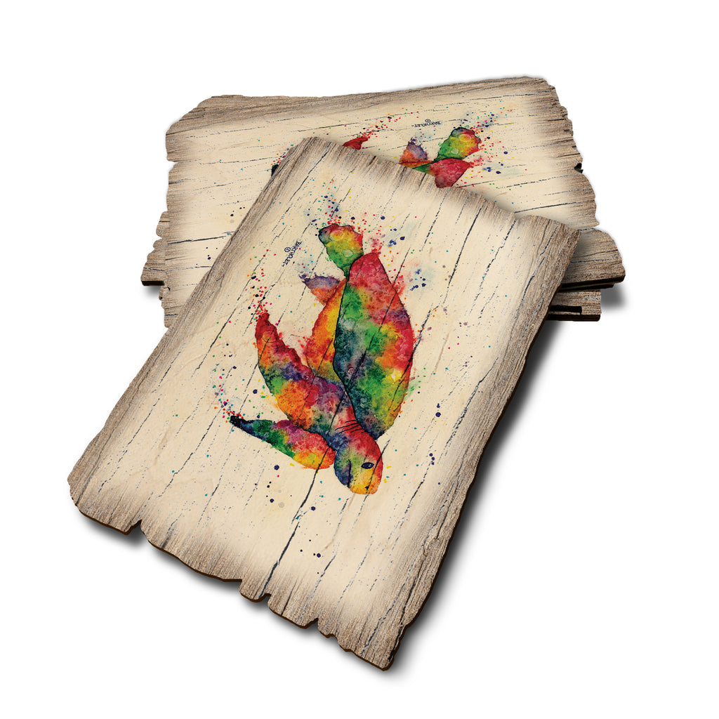 Bartholet's Rainbow Turtle - Weathered Edge Rustic Edge Postcard (5pk // $2.80ea)