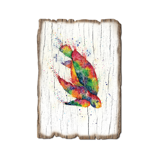 Greeting Card: Weathered Edge - Bartholet's Rainbow Turtle (Pack of 5)