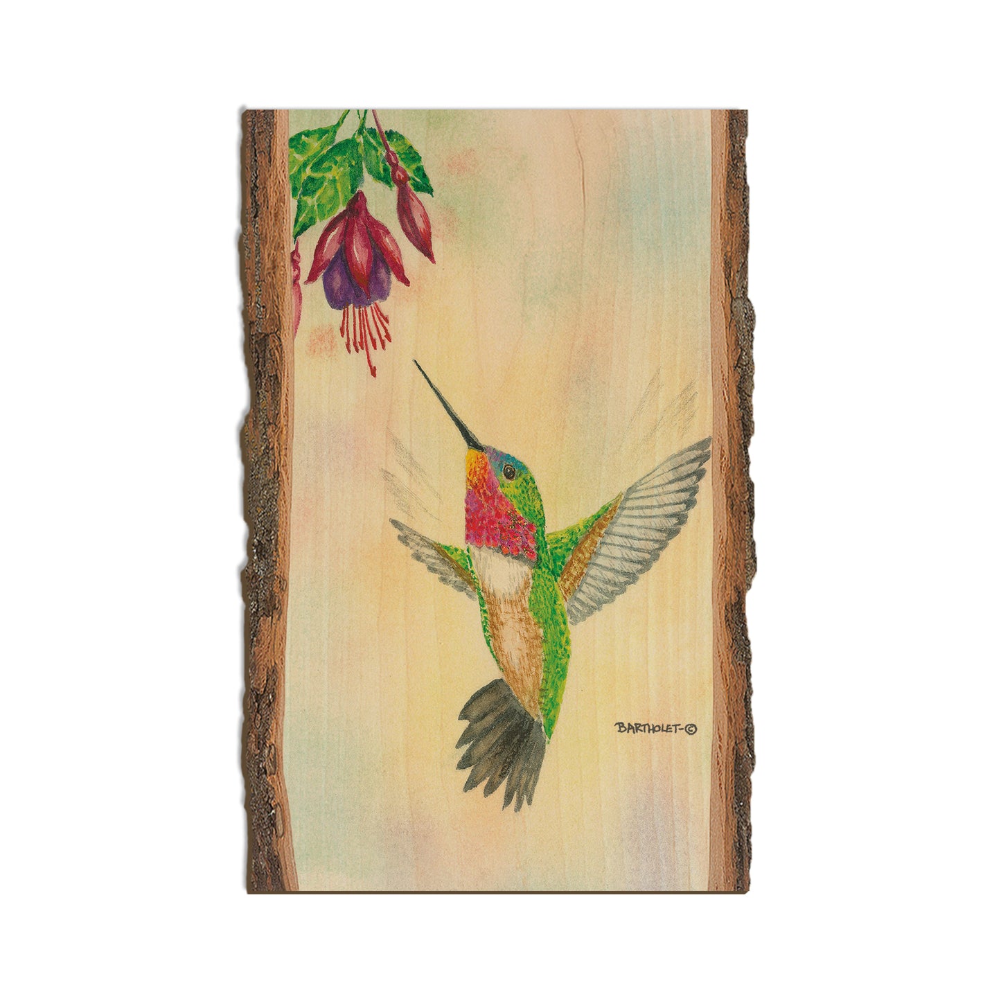 Bartholet's Ruby Gem  - Live Edge Live Edge Magnet (5pk // $2.80ea)