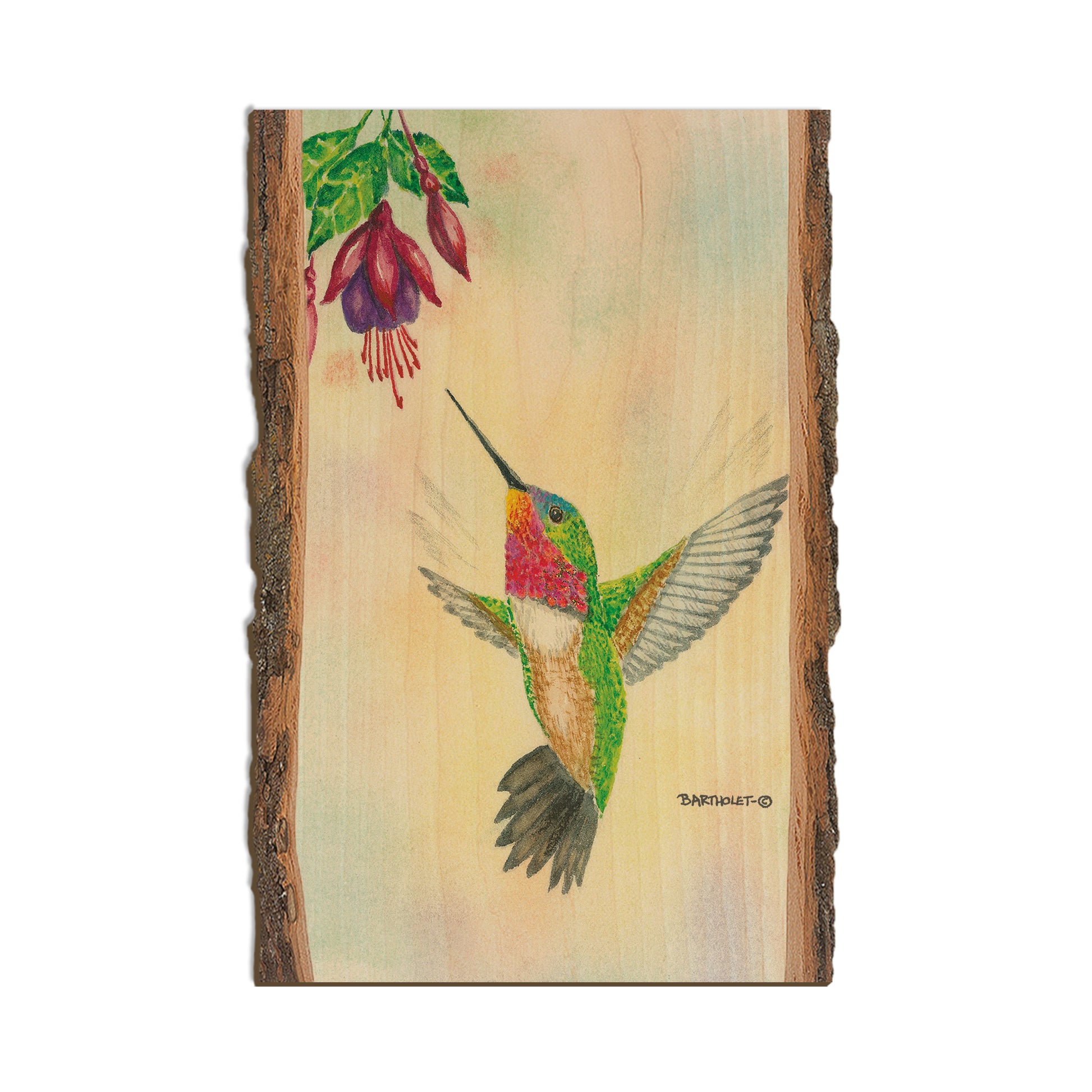 Bartholet's Ruby Gem  - Live Edge Live Edge Postcard (5pk // $2.80ea)
