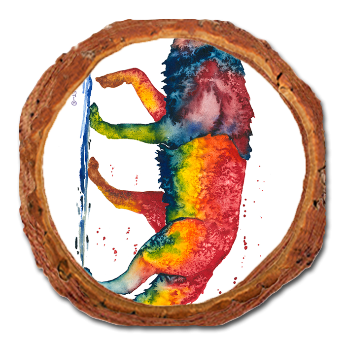 Coaster: Live Edge - Bartholet's Rainbow Wolf (Pack of 5)