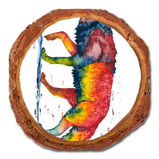 Coaster: Live Edge - Bartholet's Rainbow Wolf (Pack of 5)