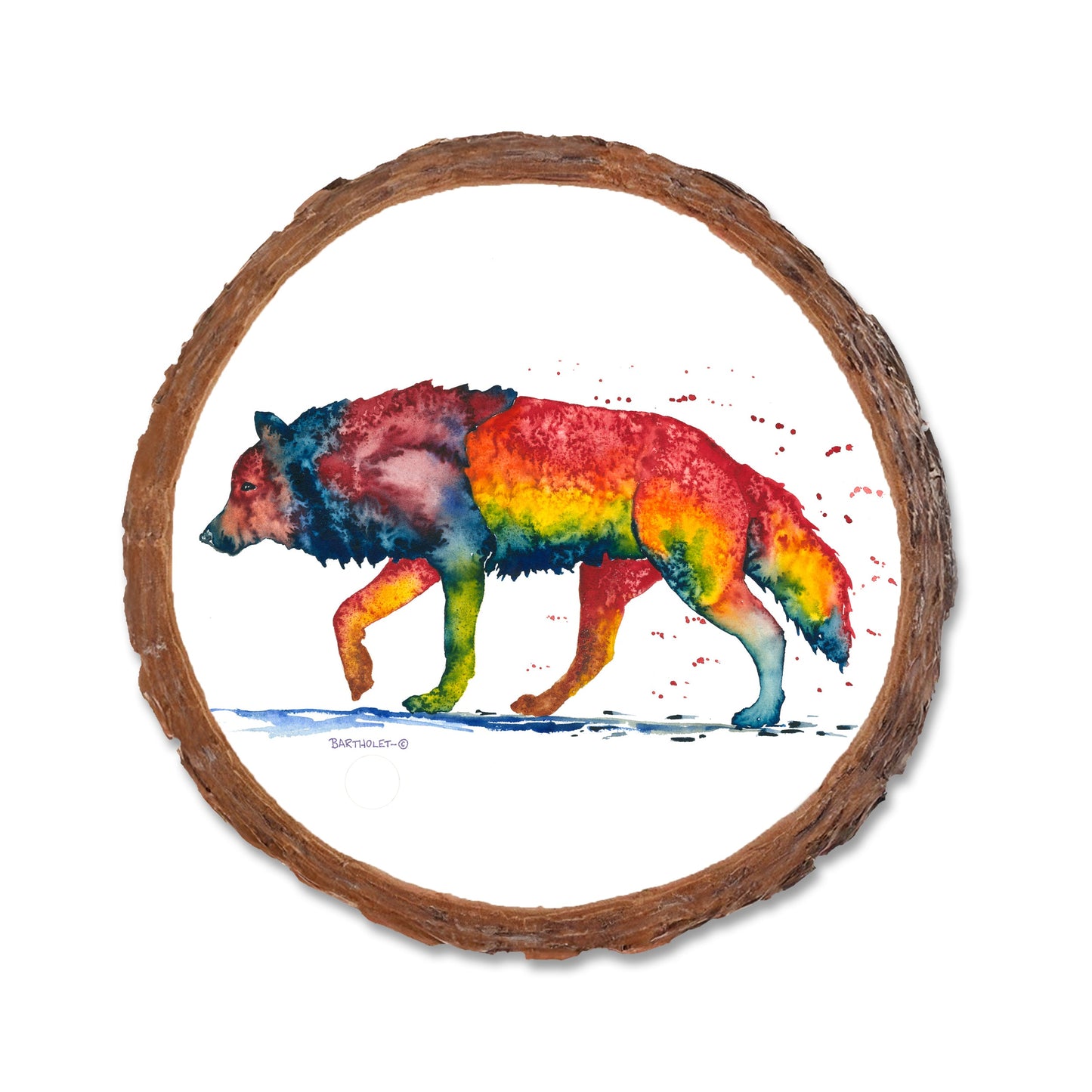Bartholet's Rainbow Wolf  - Live Edge Live Edge Coaster (5pk // $2.80ea)