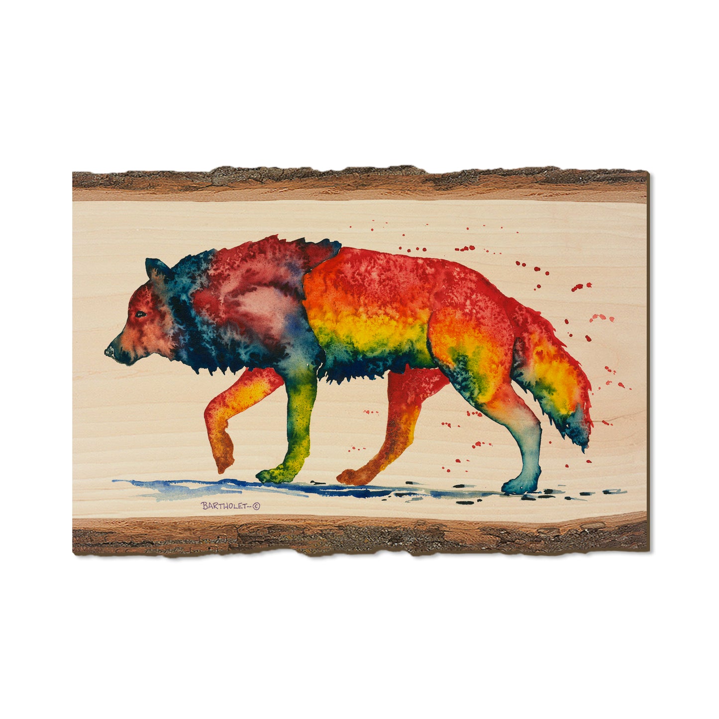 Bartholet's Rainbow Wolf  - Live Edge Live Edge Postcard (5pk // $2.80ea)