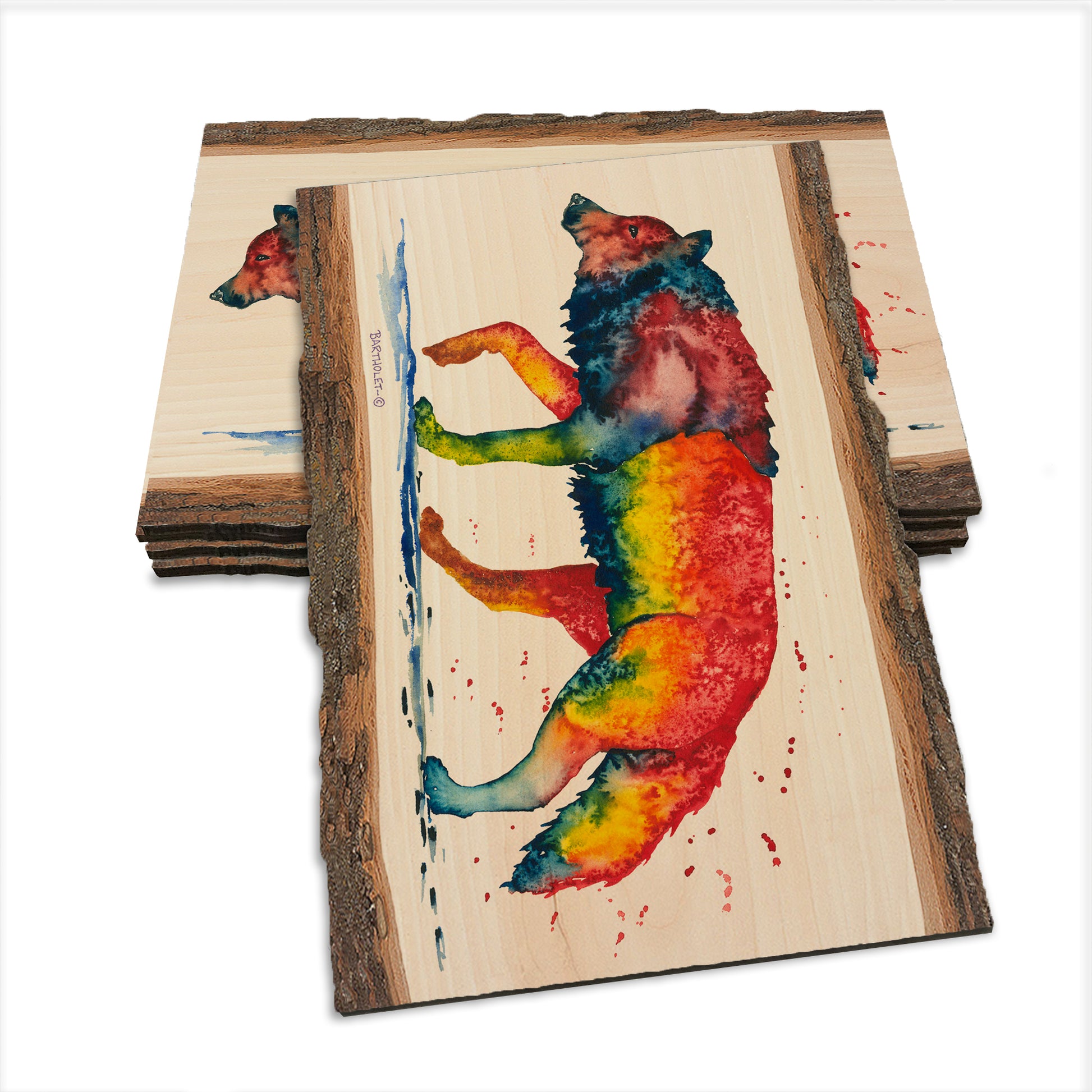 Bartholet's Rainbow Wolf  - Live Edge Live Edge Postcard (5pk // $2.80ea)