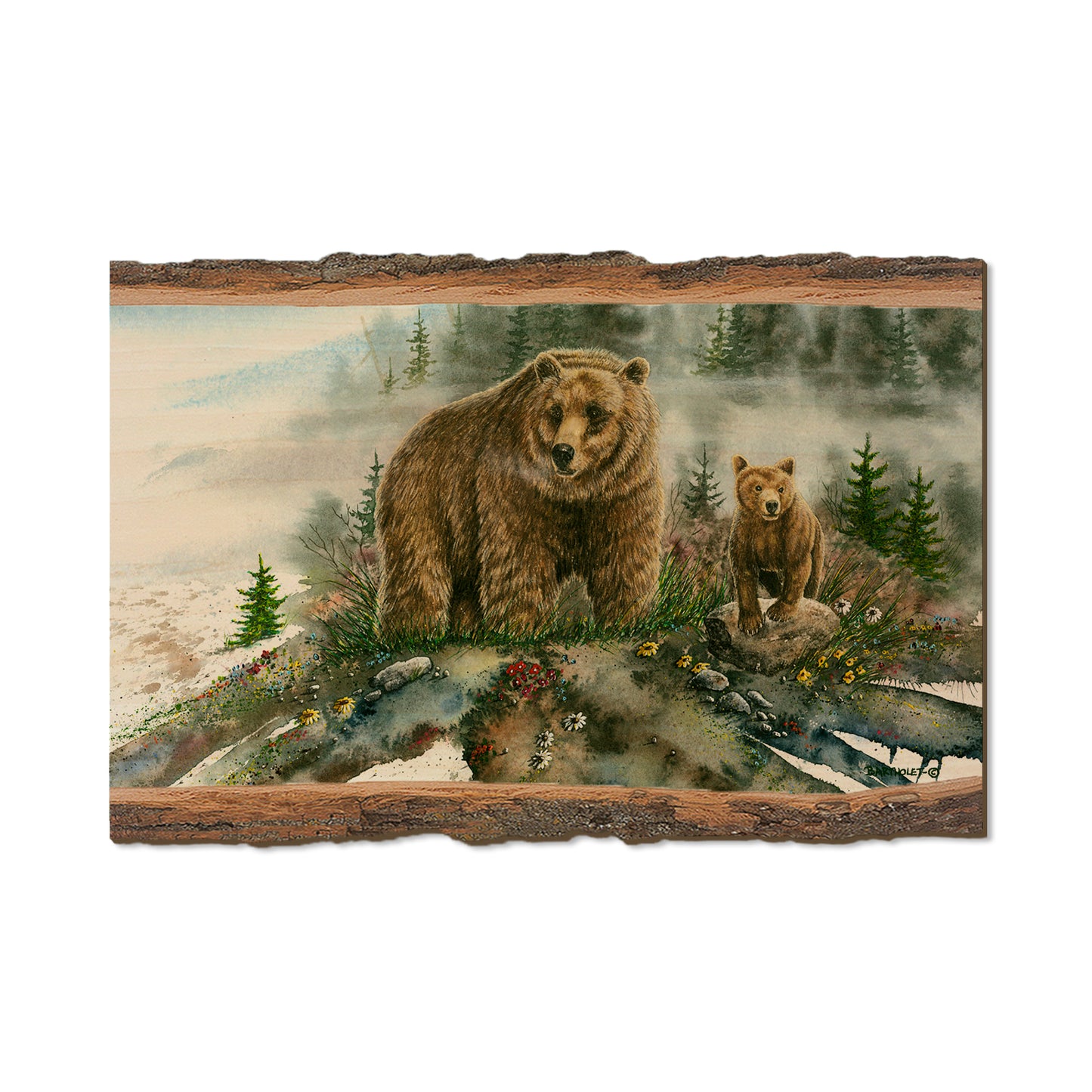 Bartholet's Spring Break  - Live Edge Live Edge Postcard (5pk // $2.80ea)