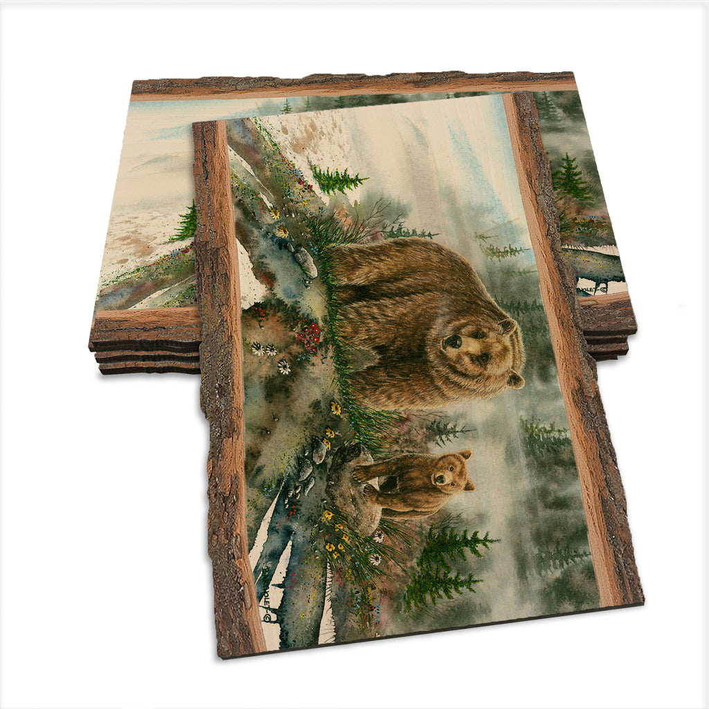 Bartholet's Spring Break  - Live Edge Live Edge Postcard (5pk // $2.80ea)