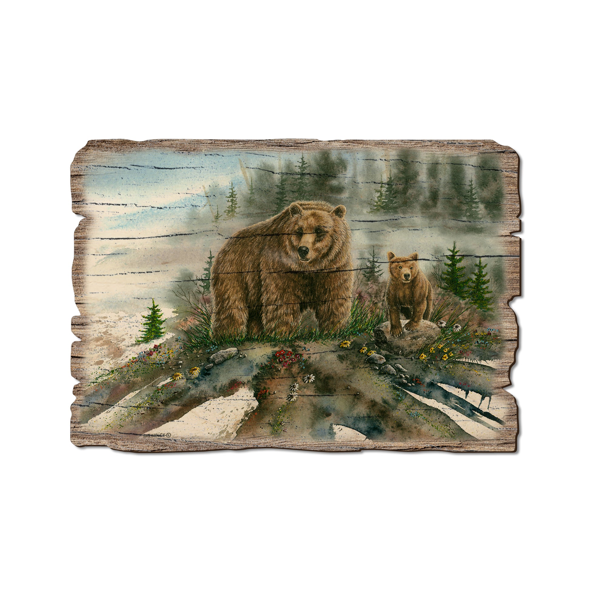 Bartholet's Spring Break - Rustic Edge Postcards & Magnets Rustic Edge Postcard (5pk // $2.80ea)