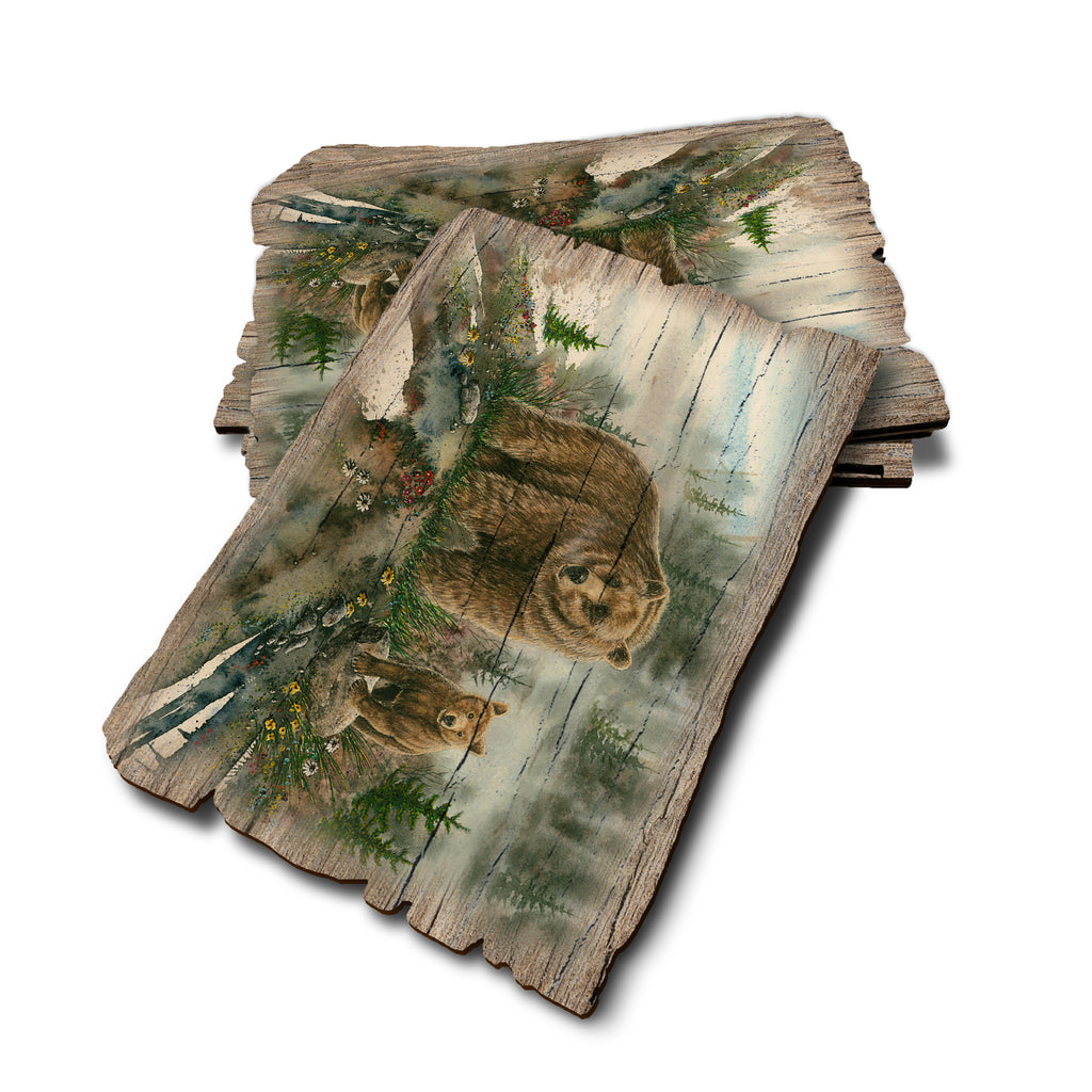 Bartholet's Spring Break - Weathered Edge Rustic Edge Postcard (5pk // $2.80ea)