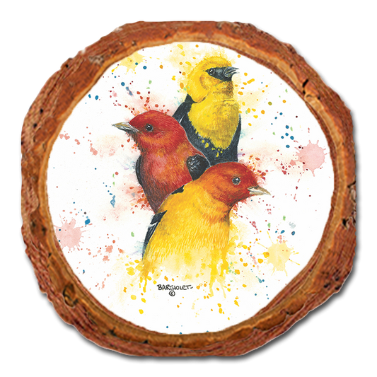 Coaster: Live Edge - Bartholet's Songbird Trio II (Pack of 5)