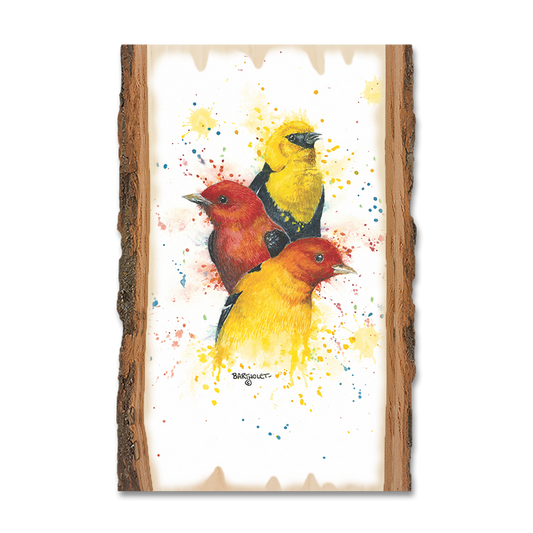 Greeting Card: Live Edge - Bartholet's Songbird Trio II