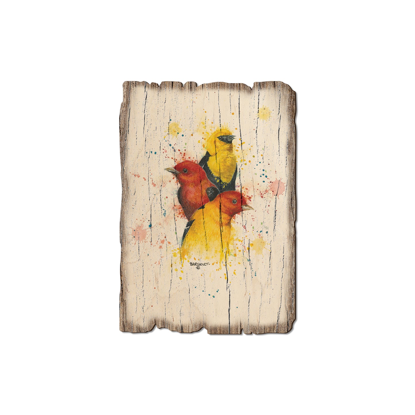 Bartholet's Songbird Trio I I - Rustic Edge Postcards & Magnets Rustic Edge Magnet (5pk // $2.80ea)