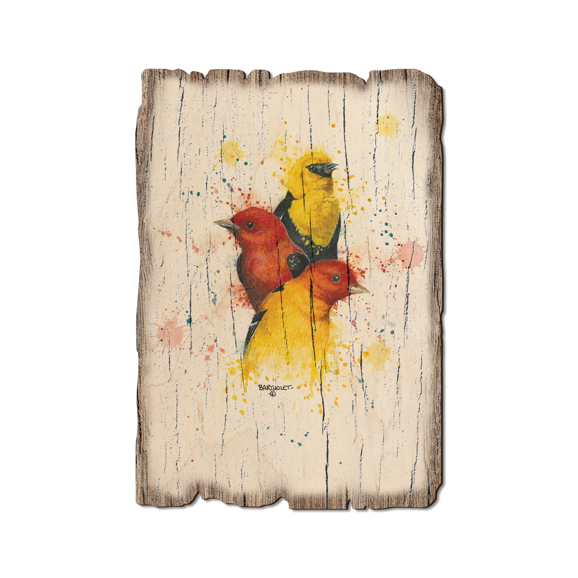 Bartholet's Songbird Trio I I - Rustic Edge Postcards & Magnets Rustic Edge Postcard (5pk // $2.80ea)