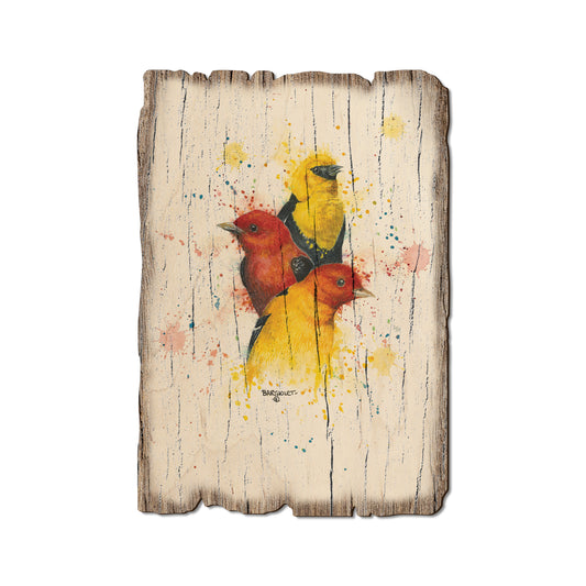Bartholet's Songbird Trio I I - Rustic Edge Postcards & Magnets Rustic Edge Postcard (5pk // $2.80ea)