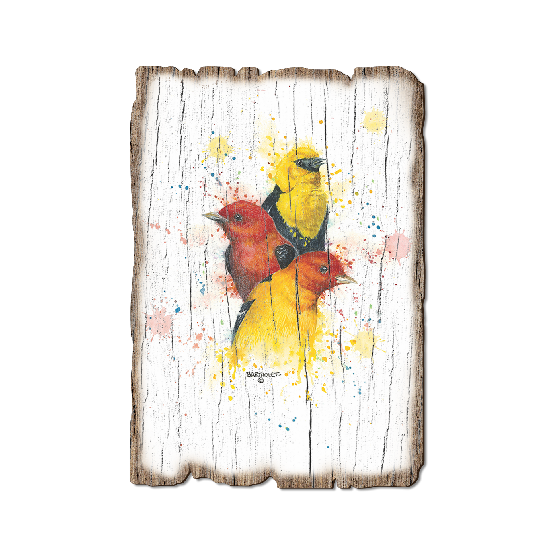 Ornament: Weathered Edge - Bartholet's Songbird Trio II (Pack of 5)