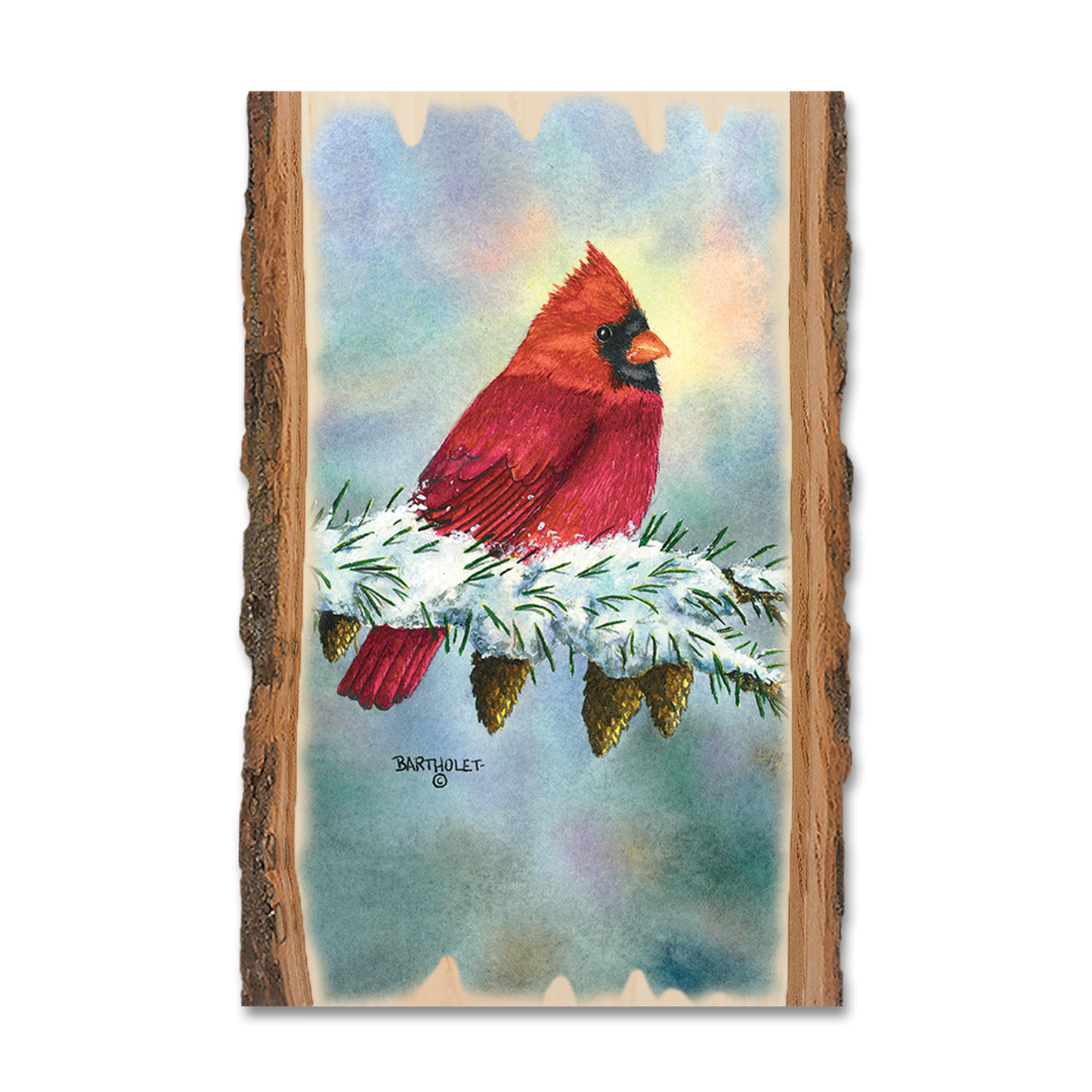 Postcard: Live Edge - Bartholet's Scarlett Delight