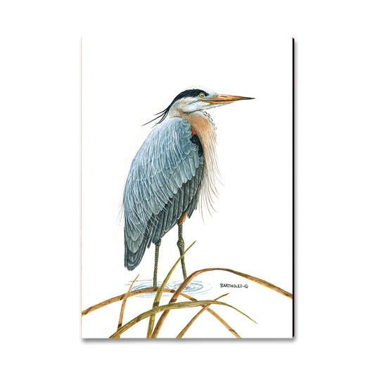 Magnet: Classic Edge - Bartholet's Sentinel Heron