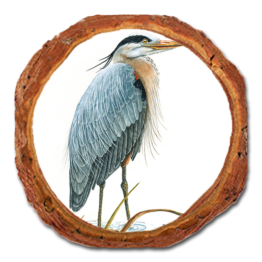 Coaster: Live Edge - Bartholet's Sentinel Heron (Pack of 5)