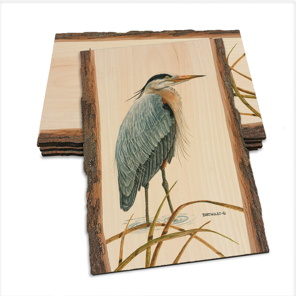 Bartholet's Sentinel Heron  - Live Edge Live Edge Postcard (5pk // $2.80ea)