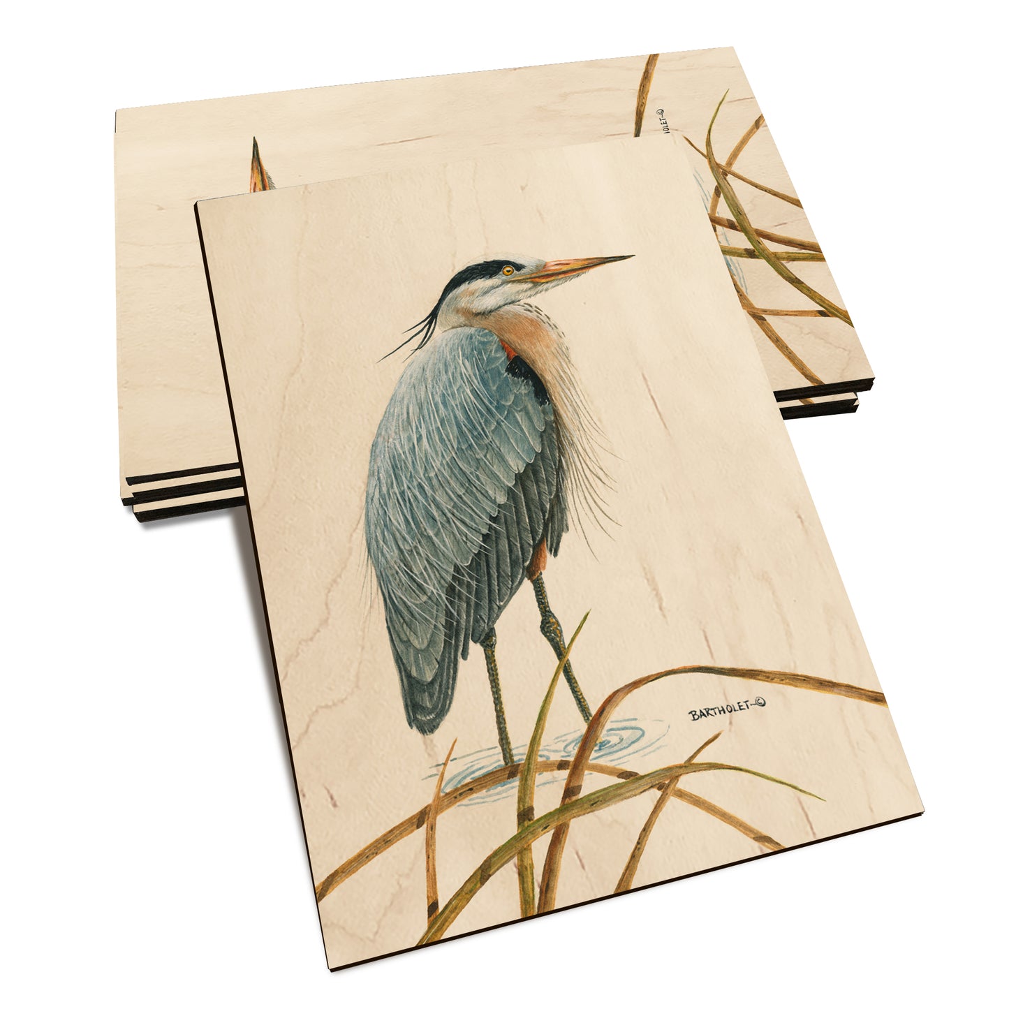 Bartholet's Sentinel Heron  - Classic Edge Classic Edge Postcard (5pk // $2.80ea)