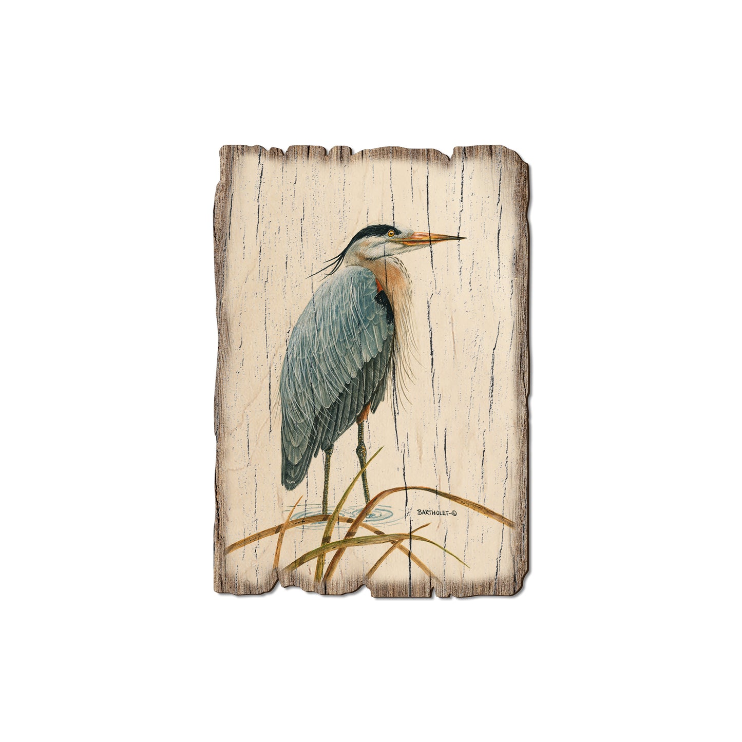 Bartholet's Sentinel Heron - Rustic Edge Postcards & Magnets Rustic Edge Magnet (5pk // $2.80ea)