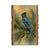 Bartholet's Steller's Jay  - Live Edge Live Edge Postcard (5pk // $2.80ea)