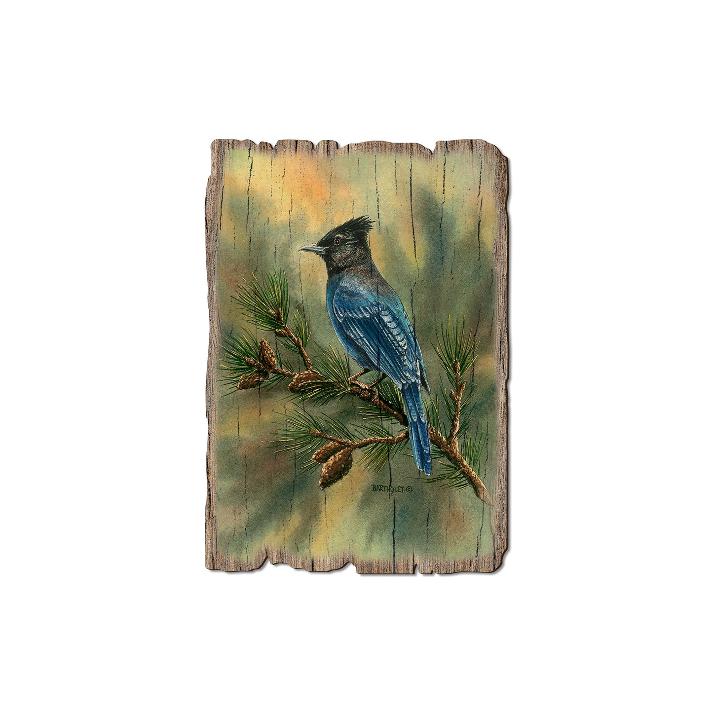 Bartholet's Stellers Jay - Rustic Edge Postcards & Magnets Rustic Edge Magnet (5pk // $2.80ea)