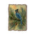 Bartholet's Stellers Jay - Rustic Edge Postcards & Magnets Rustic Edge Postcard (5pk // $2.80ea)
