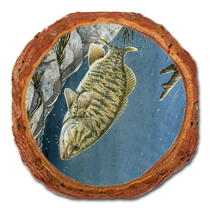 Coaster: Live Edge - Bartholet's Smallie