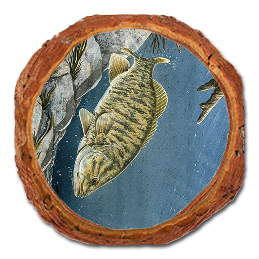 Coaster: Live Edge - Bartholet's Smallie