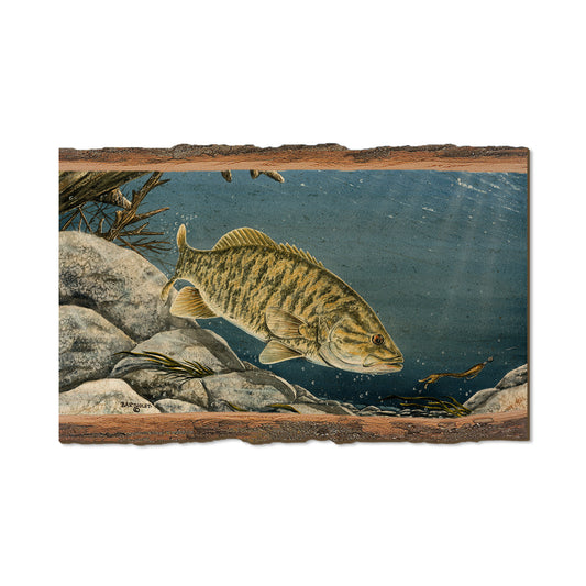 Bartholet's Smallie  - Live Edge Live Edge Magnet (5pk // $2.80ea)