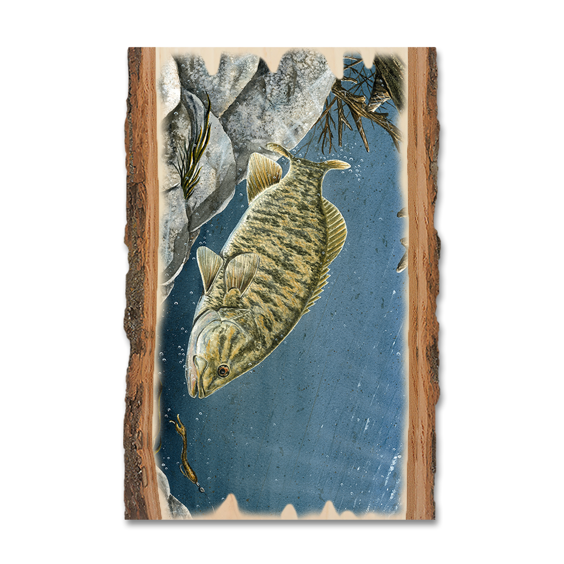 Magnet: Live Edge - Bartholet's Smallie