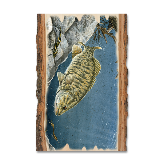 Magnet: Live Edge - Bartholet's Smallie