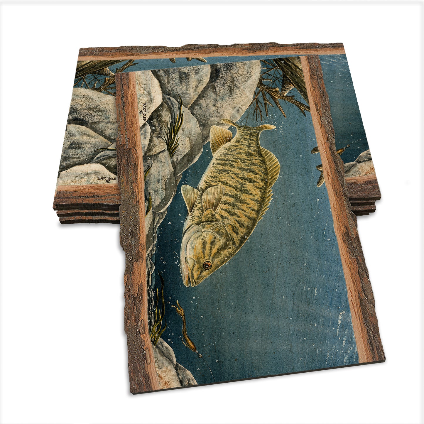 Bartholet's Smallie  - Live Edge Live Edge Postcard (5pk // $2.80ea)