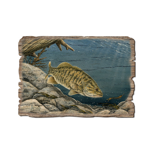 Bartholet's Smallie - Rustic Edge Postcards & Magnets Rustic Edge Postcard (5pk // $2.80ea)