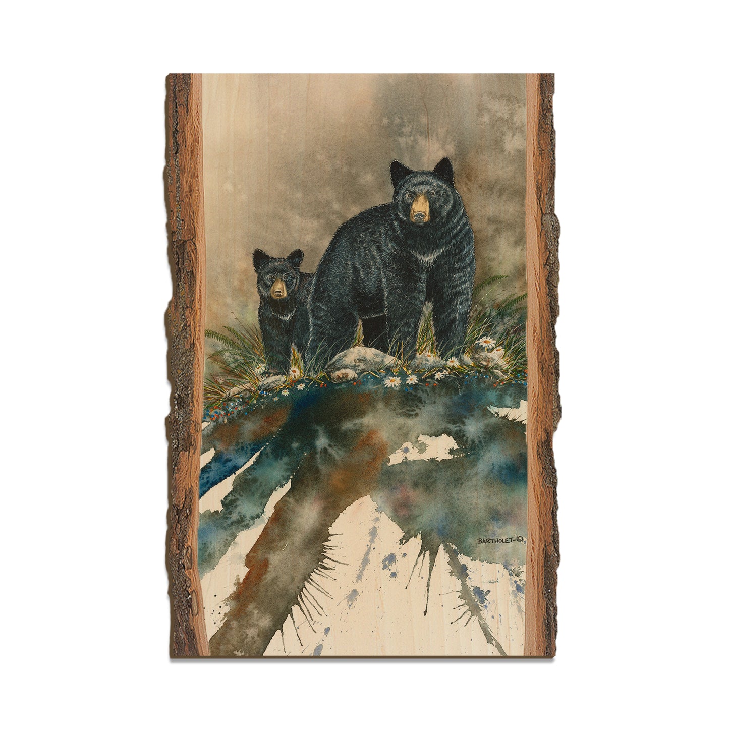 Bartholet's Steppin' Out  - Live Edge Live Edge Postcard (5pk // $2.80ea)