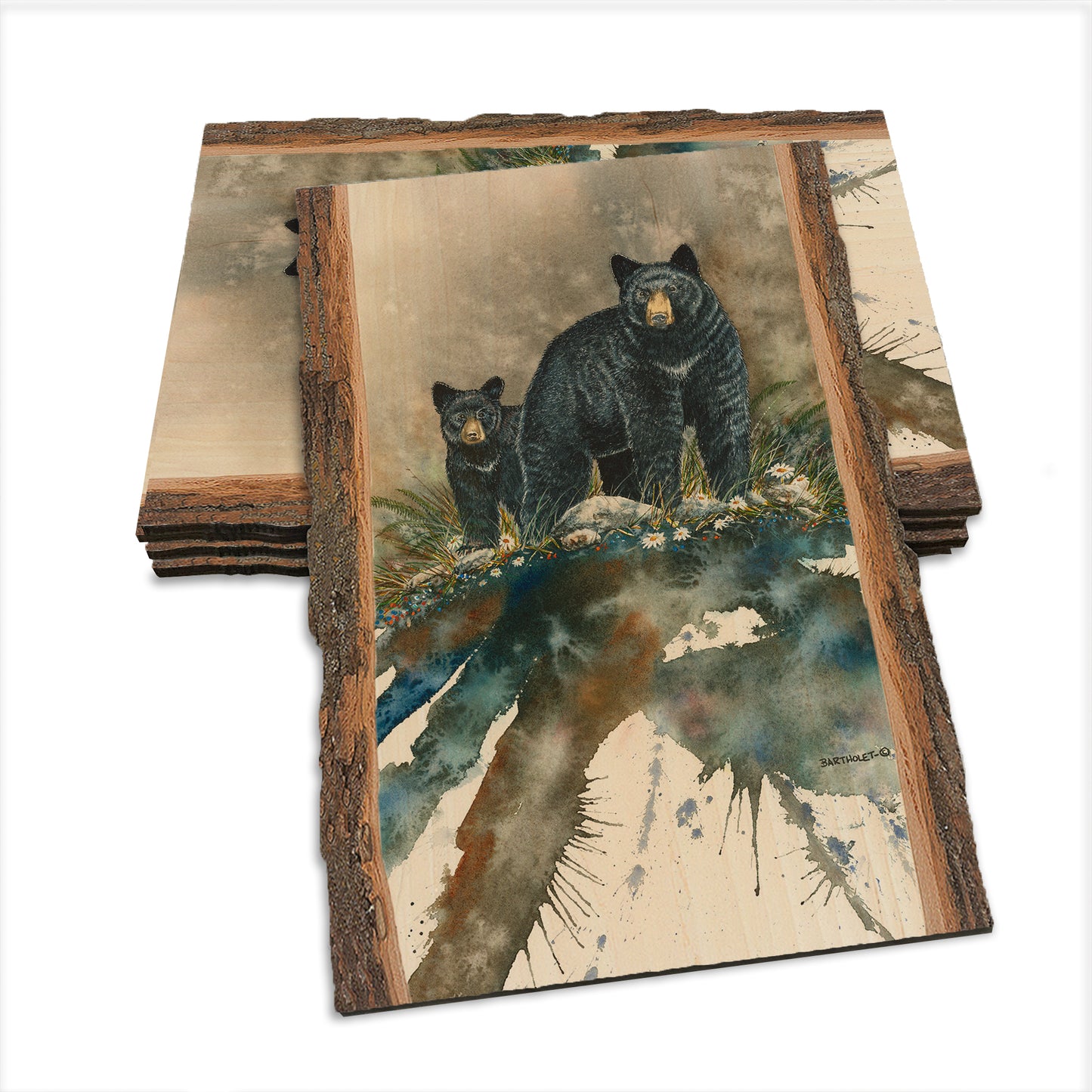 Bartholet's Steppin' Out  - Live Edge Live Edge Postcard (5pk // $2.80ea)