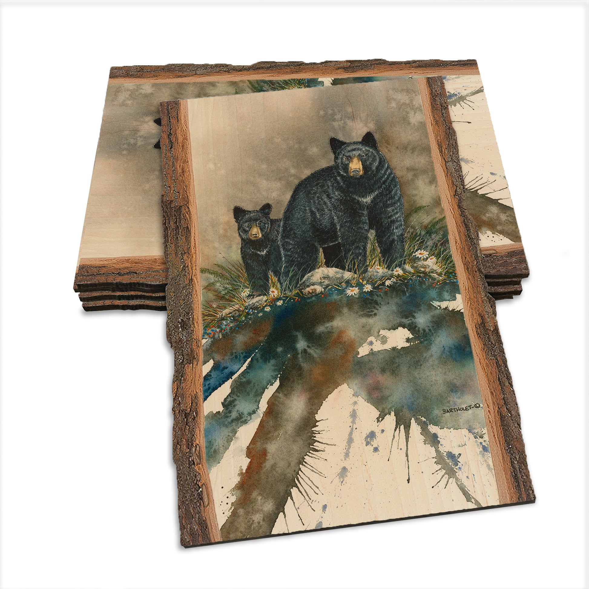 Bartholet's Steppin' Out  - Live Edge Live Edge Postcard (5pk // $2.80ea)